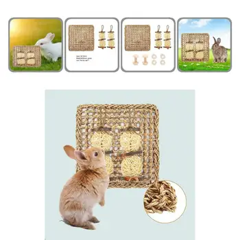 1 Nustatyti Saugaus Narvo Priedai kiaulyčių Žaislai atsparus Įbrėžimams, Baudos Kūrinys Mažų Gyvūnėlių Kilimėlis Žiurkėno Triušis Žolės Ball Žaislas