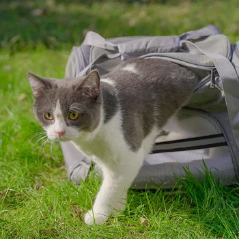 Gamintojas katė maiše nešiojamų kvėpuojantis akių automobilių pet maišą, kad pet lyginimo šuo rankinės