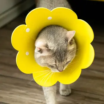 Gėlių Formos Katė Kaklo Kūgio Atkūrimo Apykaklės Anti-Bitės Anit-Scratch Pet Elizabethan Apykaklės Kačiukas Žaizdų Gijimas Apsauginės Apykaklės