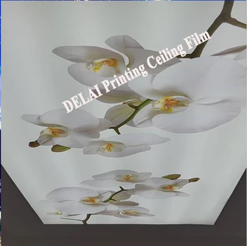 Kinijos populiarus Gėlės Naujas Fashionpvc lubų filmas Fantastinis, lubų apdaila, lubų plėvelė