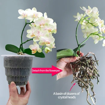 Šaknis Kontrolės Skaidrus Vazonas Orchidėjų Auginimo Sodinamoji Poringumas Vazonus su padėklu Namų Puošybai 15cm/12cm/10cm